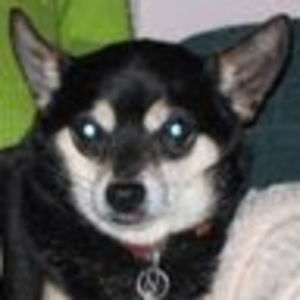 Meet your Posher, Pj